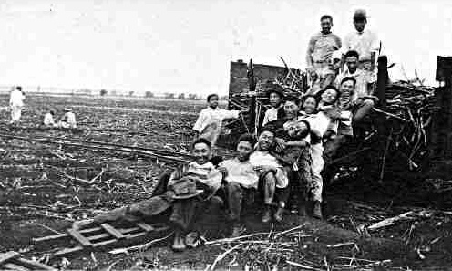 1903년 하와이 한 사탕수수밭의 한인 이주민 노동자들. 표정이 밝기만 하다. 1903년 1월부터 1905년 7월까지 하와이에 도착한 한인 노동자들은 7천800여명으로 추정된다. 이들은 대부분 사탕수수농장이나 파인애플농장에서 일했다. 사진=하와이대 한국학연구소